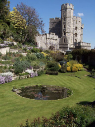 windsor_12