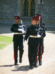 windsor_41