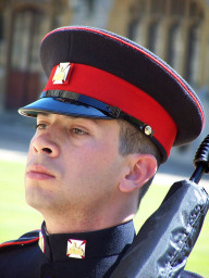 windsor_42