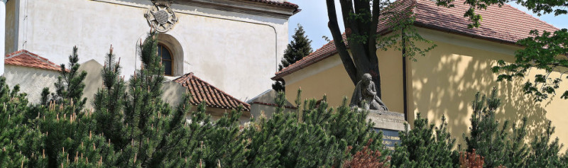 site(25)