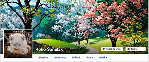 Typickým představitelem internetového šmejda je falešný profil na facebooku vystupující pod přezdívkou „Koko Šanelák“, napojený na zastupitele Strakonic Jana Svobodu (původně ANO 2011, později PRO 2016)