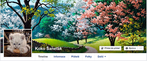 Typickým představitelem internetového šmejda je falešný profil na facebooku vystupující pod přezdívkou „Koko Šanelák“, napojený na zastupitele Strakonic Jana Svobodu (původně ANO 2011, později PRO 2016)