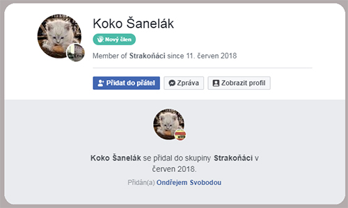 Uvedenou informaci, že Koko Šanelák byl přidán do facebookové skupiny „Strakoňáci“ Ondřejem Svobodou již dnes na internetu rovněž nedohledáte