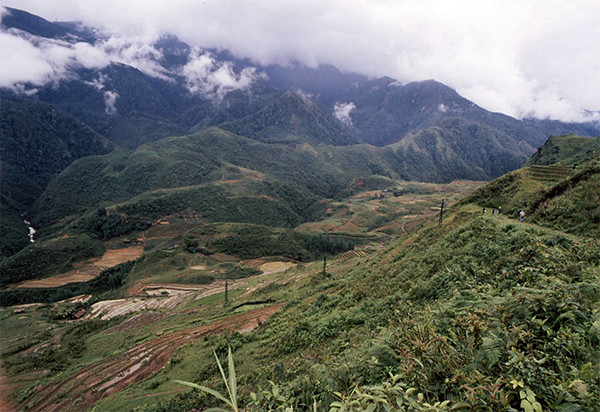 Ukázka zničeného tropického deštného lesa v Jihovýchodní Asii po přeměně lesa na pole